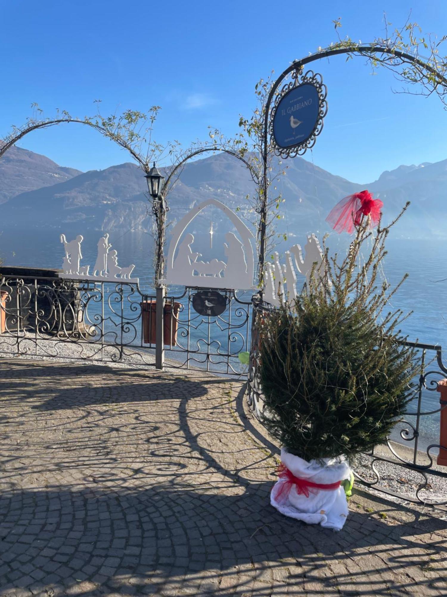 La Terrazza Sul Lago Оссуччо Экстерьер фото